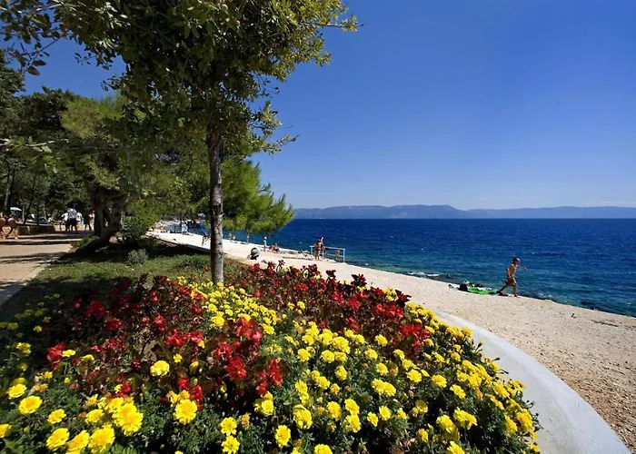 House Dean Vikendica *